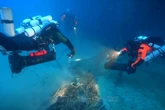 Aparece un tiburón blanco por sorpresa mientras limpiaban de redes fantasma del mar