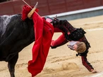Importante tarde y grave lesión de Clemente ante la dura corrida B de Juan Pedro Domecq en Las Ventas