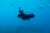 Estados Unidos crea un robot submarino que encuentra vida siguiendo sonidos en los arrecifes
