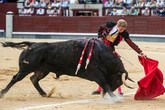 Clemente, con el aval de Madrid y a la espera de diagnóstico: "El toro transmitía peligro pero me dejó expresar mi toreo"