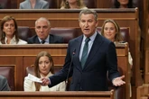 El PP registra de nuevo en el Congreso una moción para pedir elecciones o una cuestión de confianza, tras el veto de PSOE y Sumar