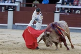 Sobre la persistencia de la fiesta nacional