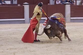 Placer y problema en los toros