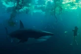 Casi 103 millones de visualizaciones en Netflix: la película de solo 1 hora y 44 minutos que es la segunda más vista de la historia de la plataforma