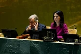 Alemania descubre sus límites: la humillación diplomática que la deja fuera del Consejo de Seguridad de la ONU