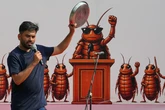 Las "cucarachas" toman Delhi: cómo el partido nacido de un meme se convirtió en la nueva protesta juvenil de India