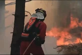 El incendio de La Mierla (Guadalajara) afecta ya a unas 29.000 hectáreas pero frena su avance a Soria