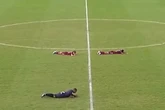 Jugadores boca abajo sobre el césped y cubriéndose la cabeza: un ataque de abejas obliga a suspender un partido en Brasil