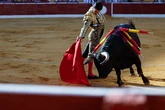 Toros gratis para menores: Badajoz crea un "palco infantil" con monitores para atraer a niños de 5 a 12 años