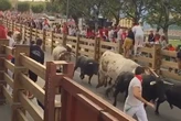 Un herido por asta de toro en el primer encierro de las fiestas de Tudela (Navarra)