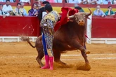 Un Morante de ensueño y cabreado con la doble vara de medir de Alicante: Talavante, a hombros con una gran corrida de Santi Domecq