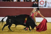 El mexicano Héctor Gutiérrez triunfa con rotundidad en la semifinal "a seis" de la Copa Chenel