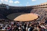 La Feria de San Isidro supera los 611.000 espectadores y pone 19 tardes el 'no hay billetes' con el mejor dato de la década