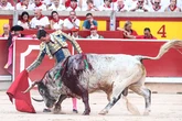 Guapa, hechurada y buena corrida de Cebada; positivas noticias de David Galván y Diosleguarde en Pamplona