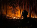 90.000 hectáreas arrasadas por los incendios en España: nuevos evacuados en Guadalajara, mientras efectivos combaten el fuego en Huelva y Teruel