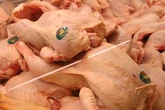 Cómo saber si el pollo está realmente fresco: qué revisar (y los errores que se deben evitar) para prevenir contaminaciones