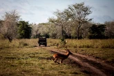 Asesinado obispo católico de un disparo en Mozambique