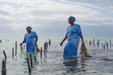 Grim reality behind the production of key ingredient in many cosmetics