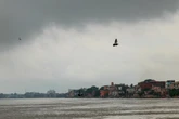 At least 111 dead as freak hailstorm and rains strike northern India