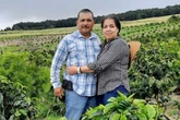 ICE officials are targeting Hawaii’s coffee farmers, locals say
