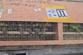 1,600 exotic birds seized at airport in huge crackdown