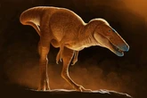 Newly discovered ‘Dragon Prince’ dinosaur is forerunner of T rex