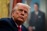 Trump demands Nicolle Wallace and Rachel Maddow resign