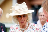 Queen Camilla ‘fought off sexual assault’ by stranger as a teenager