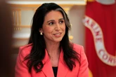 Gabbard error may have badly hampered investigation into ex-CIA boss