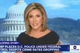 ABC anchor Kyra Phillips jumped by half-dressed homeless man in DC