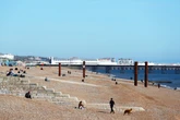 Bodies of three women found in sea in Brighton - latest