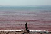 Reason behind ‘blood rain’ that turned Iran’s shoreline red revealed