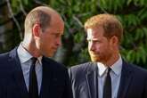 Prince William breaks silence on Harry in rare tribute - latest