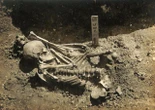 Man who died 3000 years ago found to be earliest shark attack victim