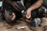 Devastating event almost ended humans 900,000 years ago