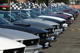 ICE adds two Mustangs to its fleet in latest move to entice recruits