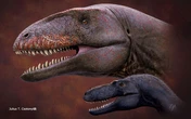 Scientists discover gigantic 26-foot-long ‘shark-toothed’ dinosaur