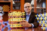 Chemistry Nobel winners’ work like ‘magic handbag from Harry Potter’