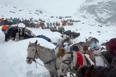 Everest hikers guided to safety after being stranded by blizzard