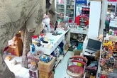 Notorious Thai elephant raids grocery store as owner watches on