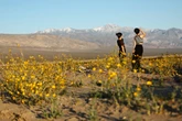 Trump wants states to take over control of National Park Service