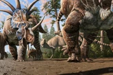 Fossil footprints reveal different dinosaur species herded together