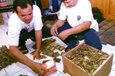 Thirteen dead after military ammunition disposal blast in Indonesia