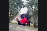 USPS worker seen on camera beating young girl while in full uniform