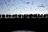 What goes ‘bump’ in the night is helping to ensure humanity’s survival