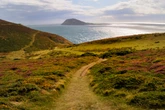 Tiny Welsh island with more sheep than people needs new tenants