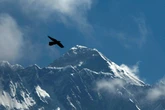 British climber summits Everest for 19th time, a non-Sherpa record