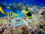 The story behind Florida’s underwater cemetery