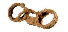 Skeleton in chains provides rare evidence of slavery in Roman Britain