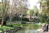 Zoo worker mauled to death by tiger that escaped its enclosure